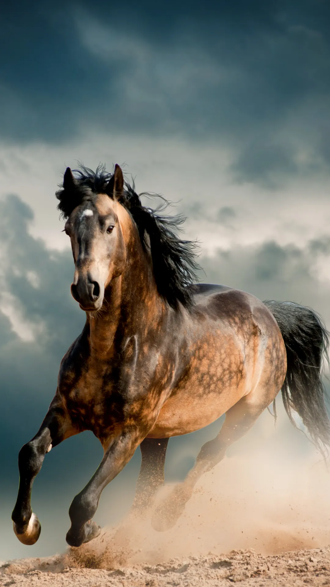 Horse Wallpapers | Indus Appstore | Screenshot