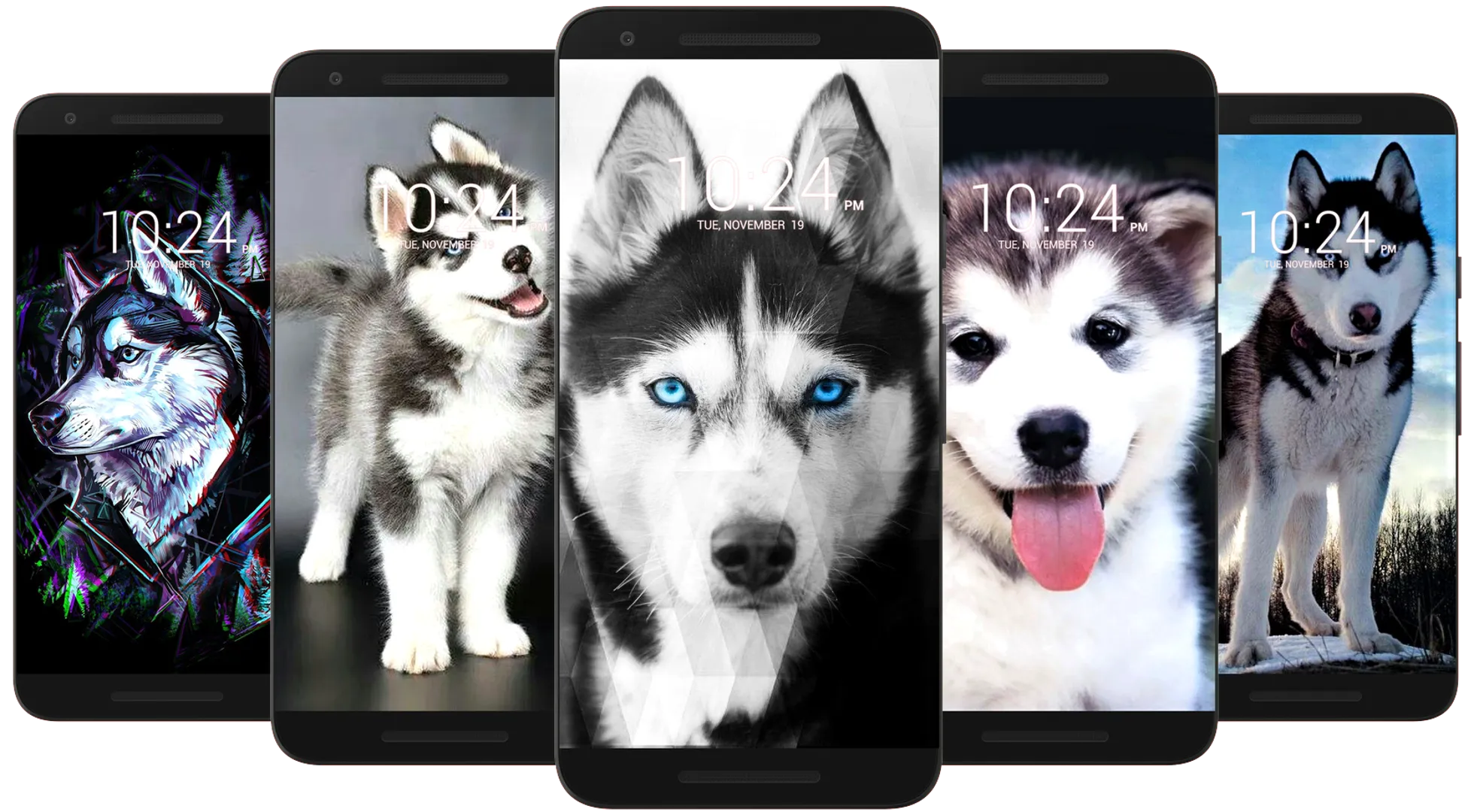 Husky Dog Wallpaper HD | Indus Appstore | Screenshot