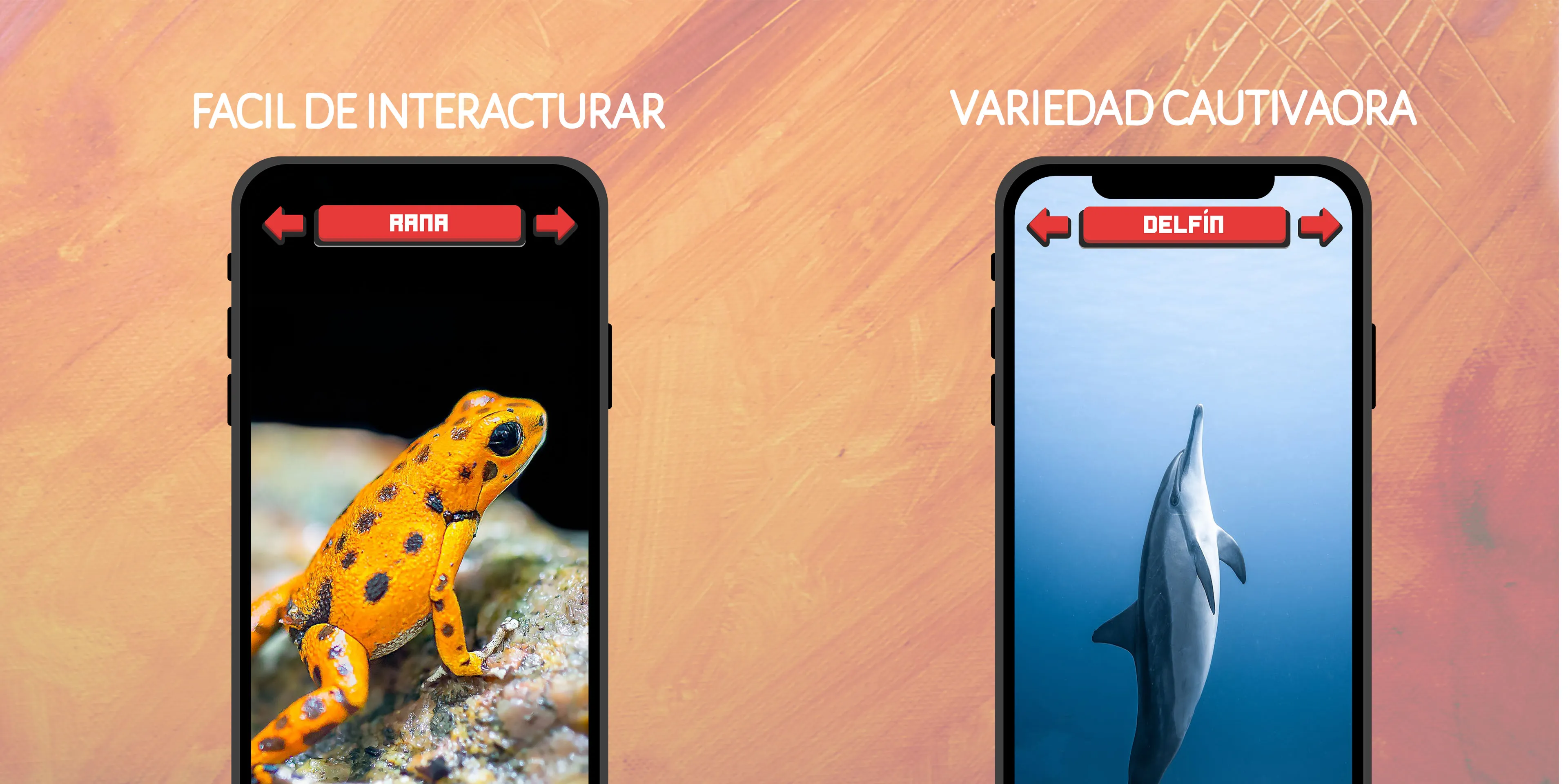 Animales: Sonidos e Imágenes | Indus Appstore | Screenshot