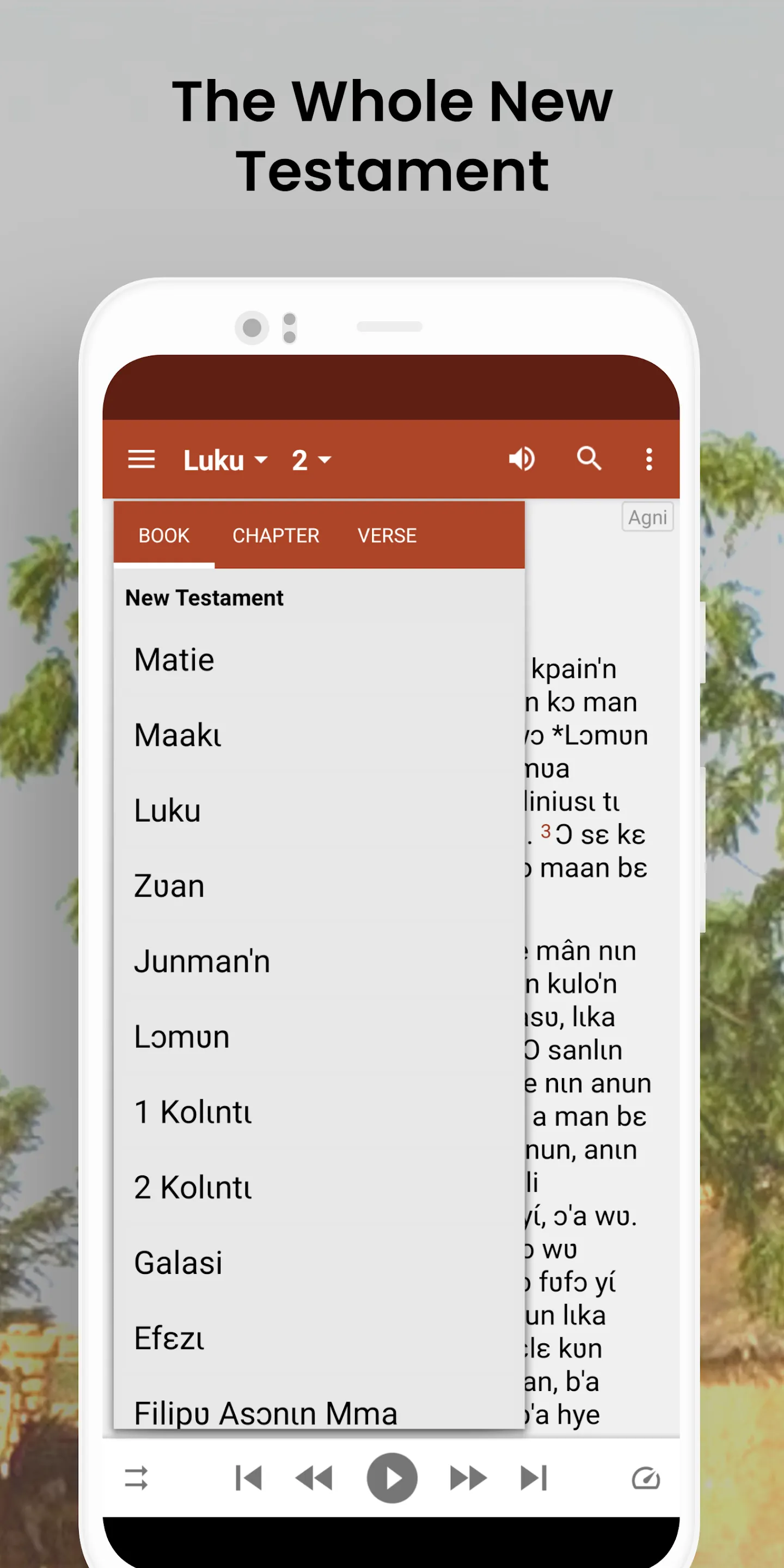 Bible Anyin Sanvi - NT+audio | Indus Appstore | Screenshot