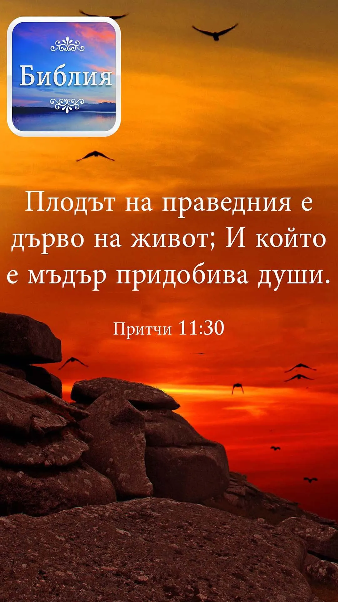 Bible in Bulgarian | Indus Appstore | Screenshot