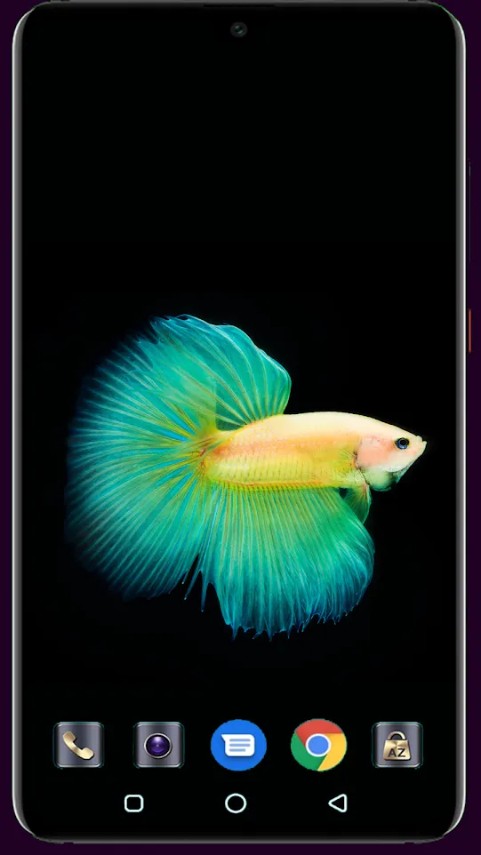 HD Fish Wallpaper | Indus Appstore | Screenshot