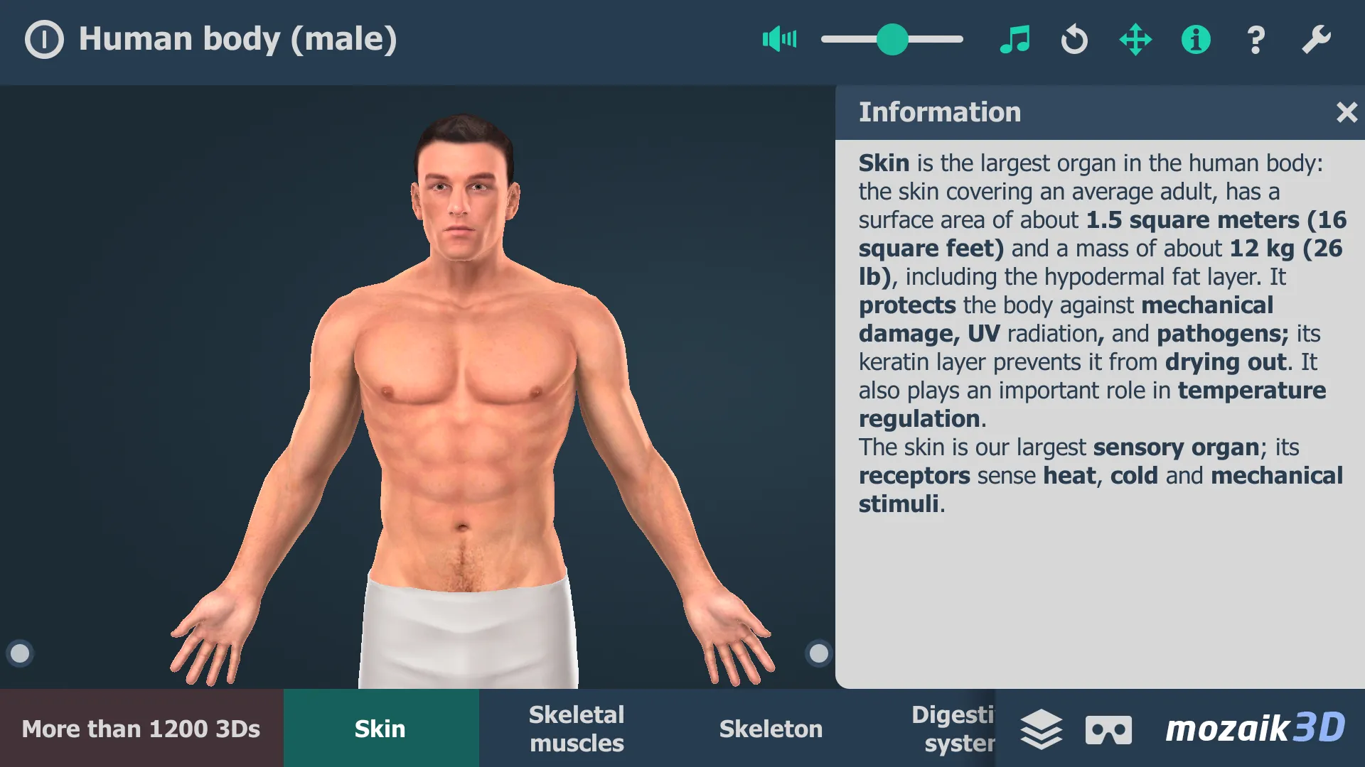 Human body (male) 3D scene | Indus Appstore | Screenshot