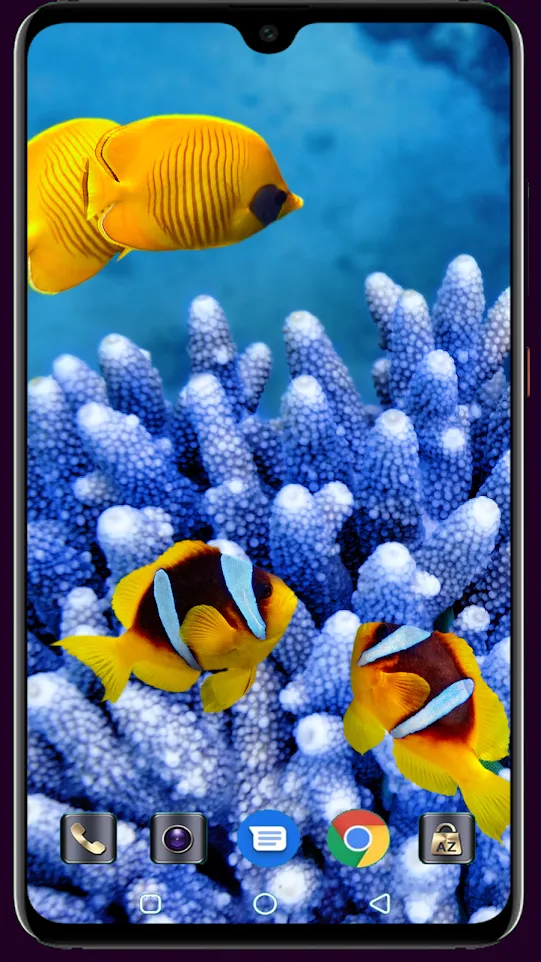 HD Fish Wallpaper | Indus Appstore | Screenshot