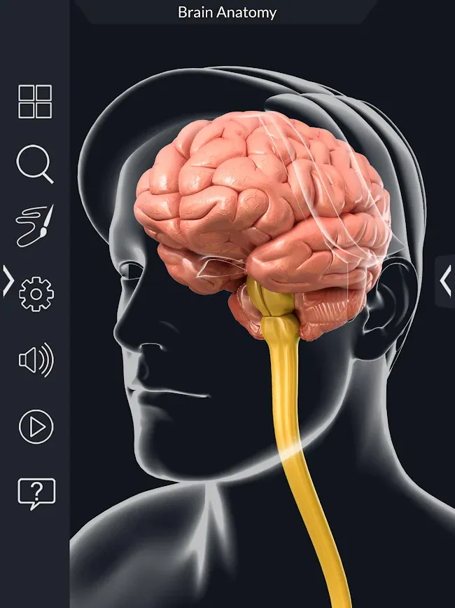 Brain Anatomy Pro. | Indus Appstore | Screenshot