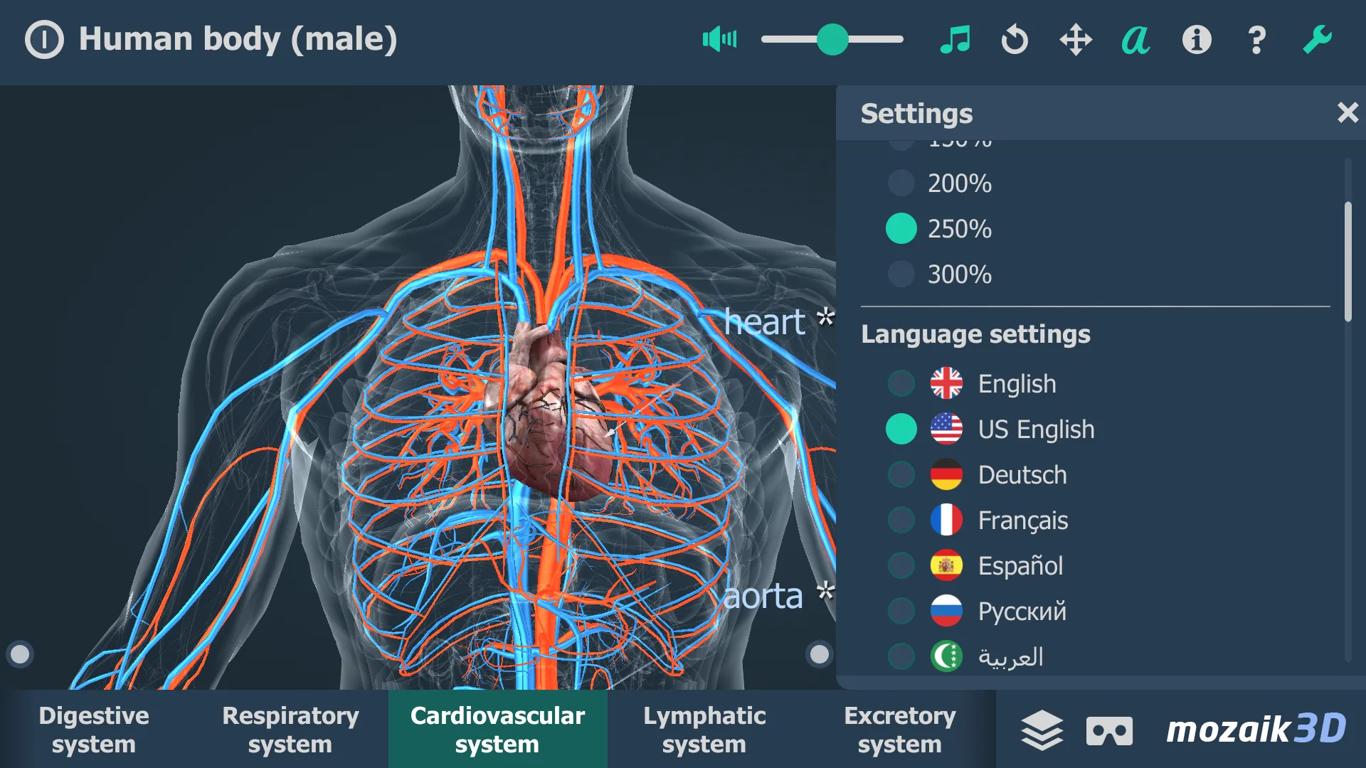 Human body (male) 3D scene | Indus Appstore | Screenshot