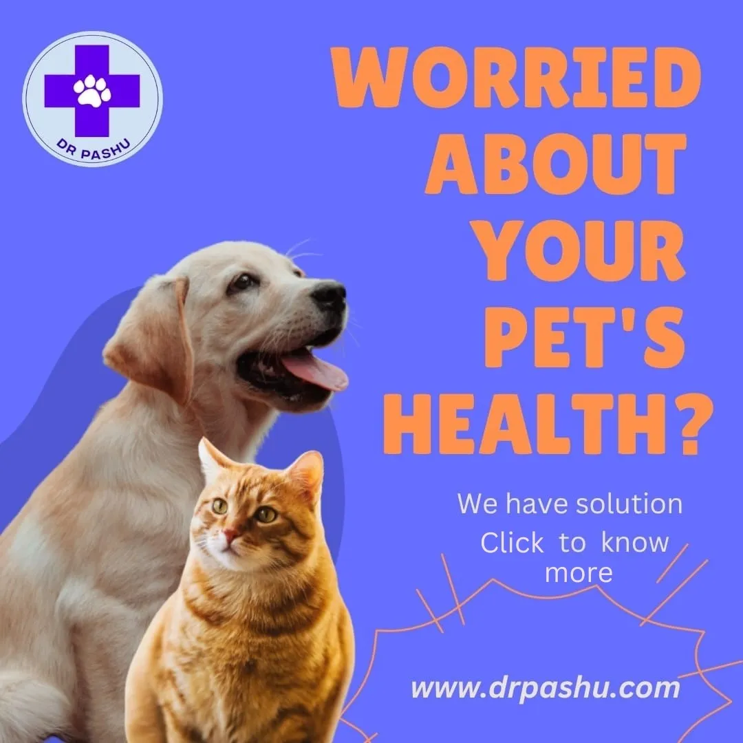 DrPashu - Instant Online Vet | Indus Appstore | Screenshot