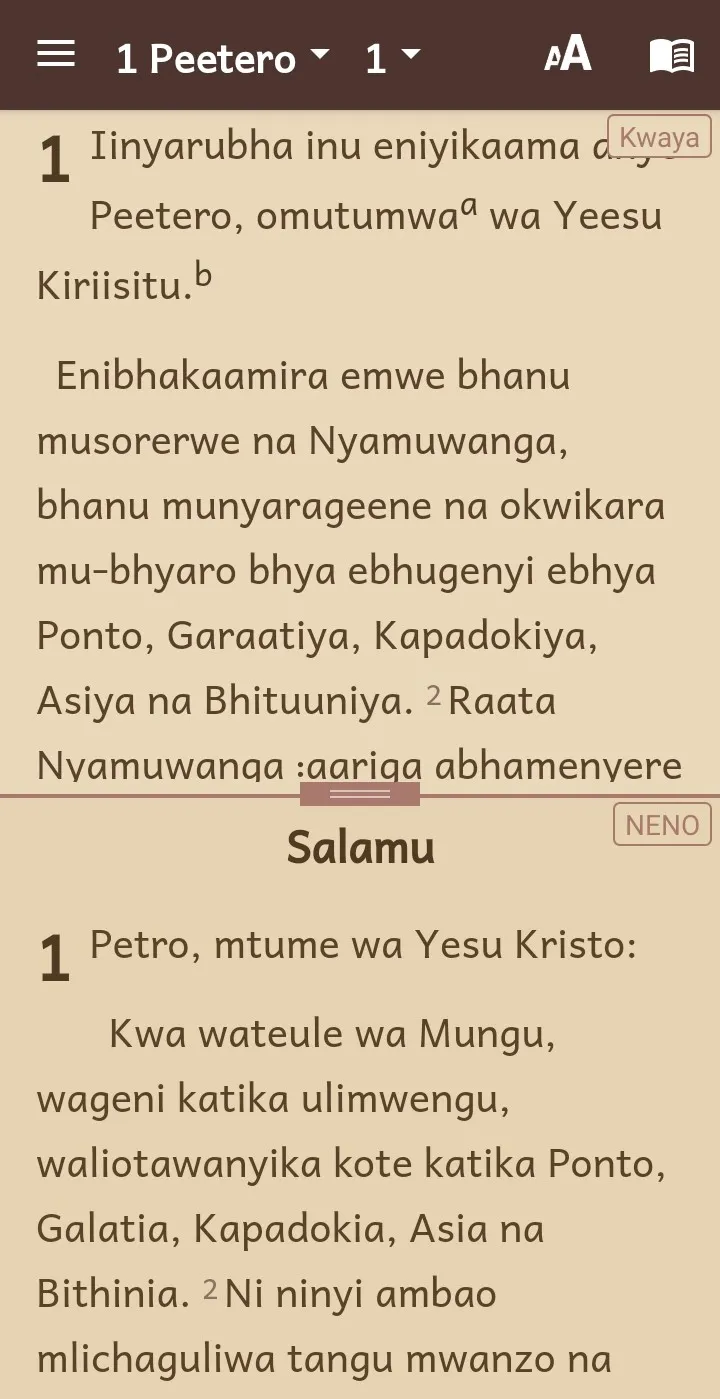 Kwaya Bible with Swahili | Indus Appstore | Screenshot