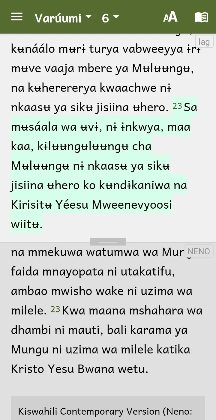 Rangi Bible - Audio & Swahili | Indus Appstore | Screenshot